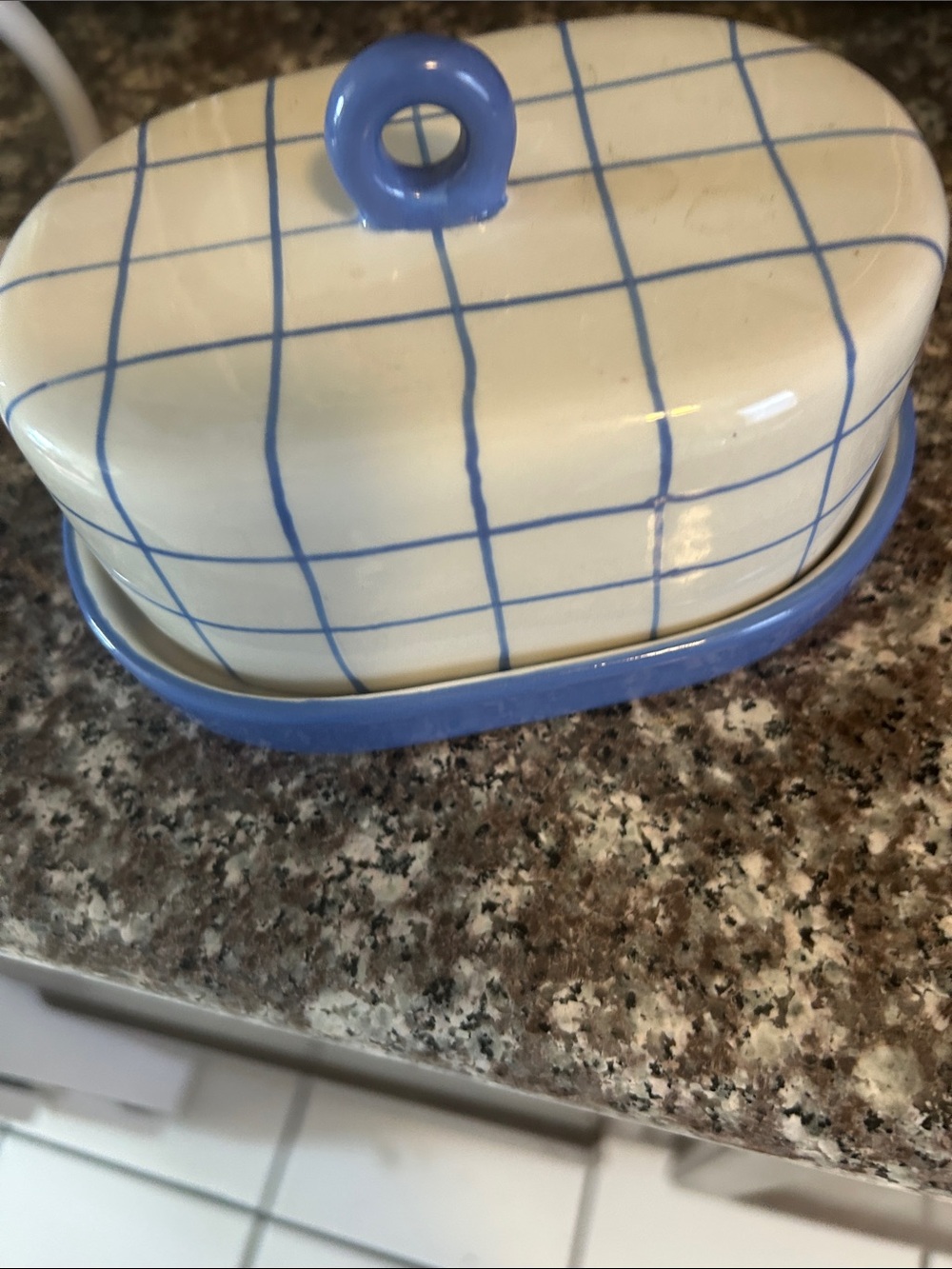 Ceramic Blue-Checked Butter Dish